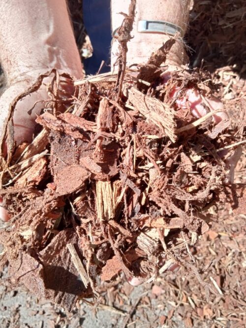 Pine Bark Mulch Kwinana