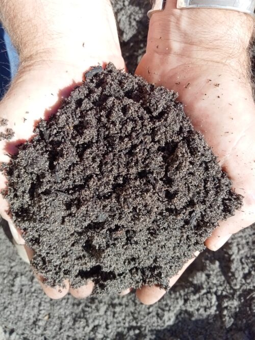 soil garden landscape earth dirt plant lawn turf kwinana
